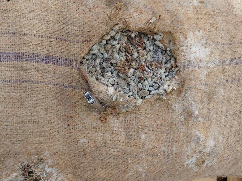 Cargo Contamination