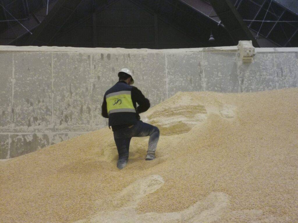 Feeds and grains