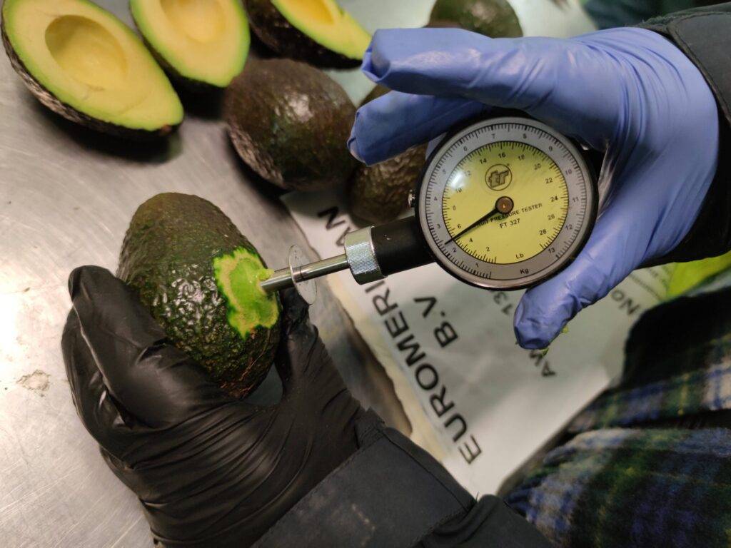 Perishables and temperature-controlled cargo